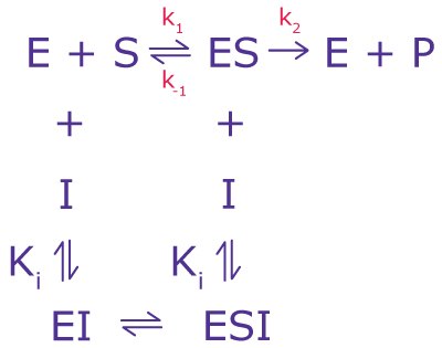 The equilibrium equation for non-competitive inhibition including variables for enzymes, substrates, and the inhibition constant The equilibrium equation for non-competitive inhibition including variables for enzymes, substrates, and the inhibition constant