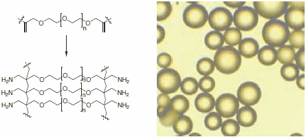 The scaff old of Aminomethyl-ChemMatrix resin is built completely on chemically stable polyether bonds (left). Microscopic image of ChemMatrix beads (right).