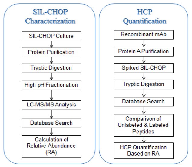 HCP Characterization and Quantification Workflow