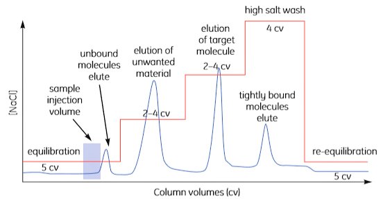 Step elution. Step elution