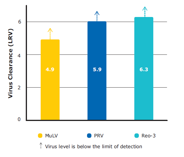 Robust, load independent viral clearance in monoclonal antibody purification with Natrix® Q chromatography membrane clearance of several different viruses