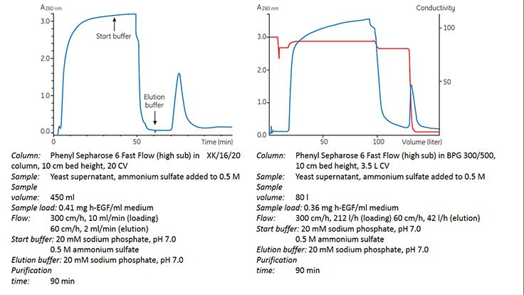 Development and scale-up of the capture step.