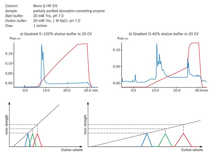 Effect of gradient slope on resolution, in theory and in practice. Effect of gradient slope on resolution