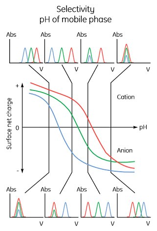Effect of pH on protein elution patterns. Effect of pH on protein elution patterns