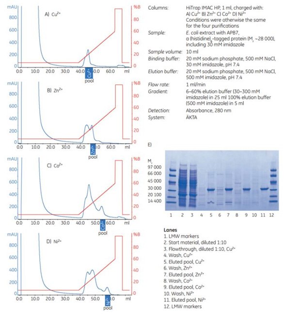 Puriﬁcation of APB7