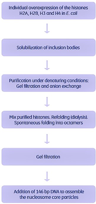 subunits-of-purification Purification of the individual subunits
