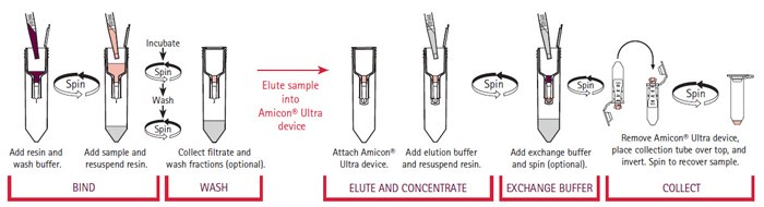 system-workflow The Amicon® Pro Purification System Workflow