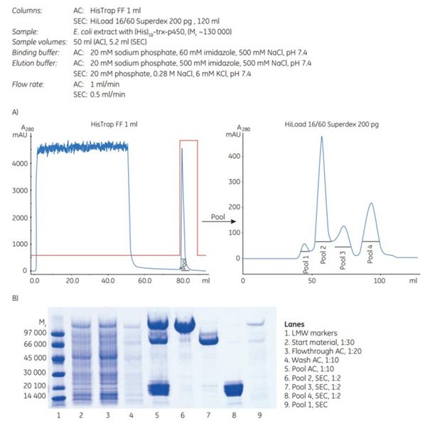 Two-step puriﬁcation of a high-molecular-weight