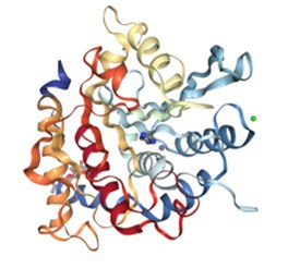 Structure of glycosylated human glutaminyl cyclase (PDB 3SI0)<sup>1</sup> Structure of glycosylated human glutaminyl cyclase