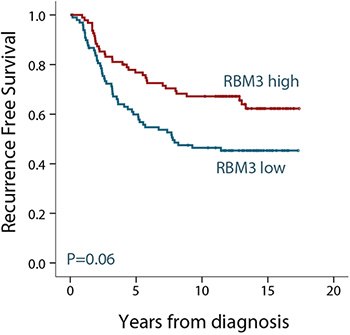 kaplan-meier-survival-analysis