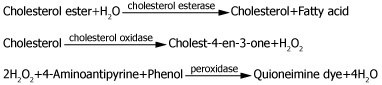 Cholesterol Esterase Principle Cholesterol Esterase Principal