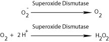 SOD Reaction