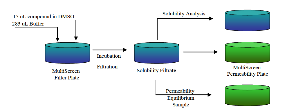 Schematic of a Combined Solubility and PAMPA