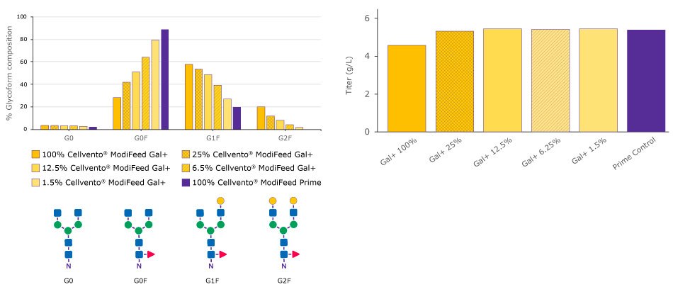 Graphs show the glycoform composition and titer data achieved with the different Cellvento® ModiFeed feeds, showcasing how different combinations of Cellvento® ModiFeed Prime feed with either Cellvento® ModiFeed Gal+ or Cellvento® ModiFeed Gal- feed can be used to tailor galactosylation levels by altering the ratio of the combined feed. Graphs show the glycoform composition and titer data achieved with the different Cellvento® ModiFeed feeds, showcasing how different combinations of Cellvento® ModiFeed Prime feed with either Cellvento® ModiFeed Gal+ or Cellvento® ModiFeed Gal- feed can be used to tailor galactosylation levels by altering the ratio of the combined feed.
