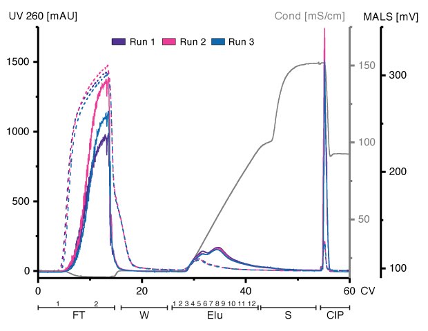 Overlay of three chromatograms of individual replicates, run 1 (purple), run 2 (pink), and run 3 (blue) in column volumes (CV) with chromatographic steps flow-through (FT), wash (W), elution (Elu), strip (S) and cleaning-in-place (CIP)and including fraction numbers. UV 260: dashed line; MALS traces: continuous line), conductivity: light grey. Chromatograms of three runs demonstrate that HEK293-derived EVs can bind to and be eluted from an Eshmuno<sup>®</sup> Q resin in a reproducible manner.