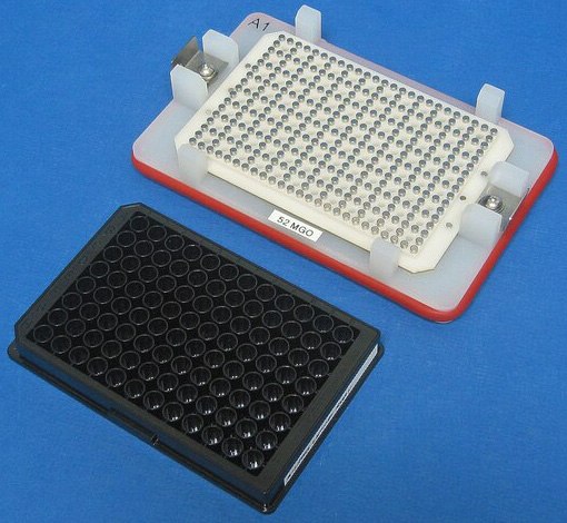 Handheld Magnetic Separator Block A handheld magnetic separator block for 96-well flat bottom or 96-well conical well plates (Product No. 40-285).