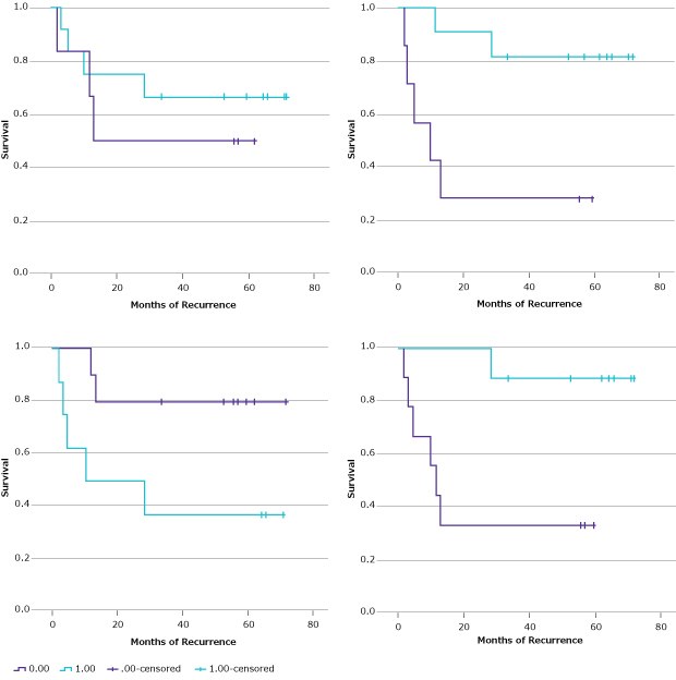 Kaplan-Meier Estimates of Median Time to Recurrence Graphs showing the Kaplan-Meier estimates of the median time to recurrence. Clinical outcomes for the T1-2N0M0 (“no metastatic progression”) and T1-3N1-2M0 (“locally advanced”) groups were evaluated via log-rank analysis for each of the 17 biomarkers for the median time to recurrence.