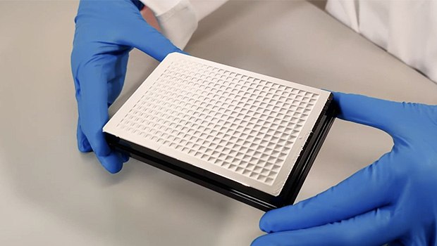 Complete Seal of SMCxPRO® Assay Read Plate A complete seal of a 384-well read plate for the SMCxPRO® instrument with a concave appearance on all wells and clearly visible corners.