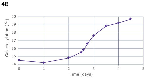 Comparison of manual (4A) and automated high-frequency sampling (4B) to characterize increased galactosylation in response to step changes in galactose. Automated sampling shows the same constant increase of galactosylation over 4 days, from 54.5% on day 0 to 59% on day 4, but provides greater insight due to more frequent data collection, thus allowing to observe a more precise curve progression between day 2 and 3.