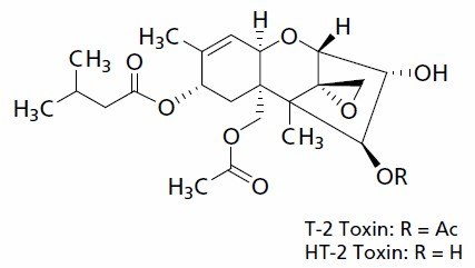 Molecular structure of the Trichothecenes T-2 Toxin and HT-2 Toxin