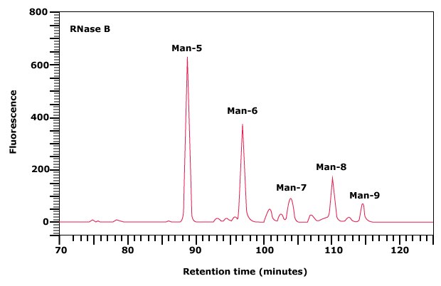 Normal phase HPLC profile of the 2‑AB labeled N-linked glycan library obtained from RNase B. Normal phase HPLC profile of the 2‑AB labeled N-linked glycan library obtained from RNase B