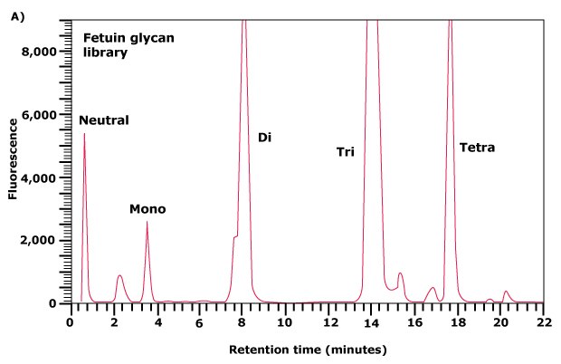 Separation of neutral and acidic glycans of fetuin by weak anion-exchange chromatography. The separation of the glycan pool into neutral, mono-, di-, triand tetrasialylated glycans. Separation of neutral and acidic glycans of fetuin by weak anion-exchange chromatography