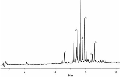 Ekstrakt z Boswellia