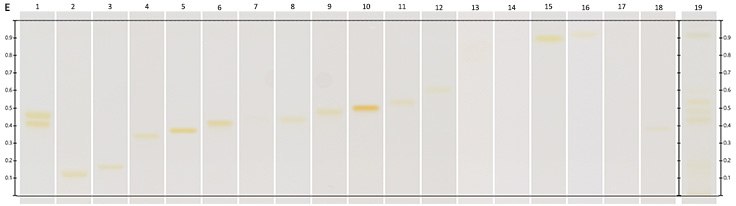 Chromatograms under UV