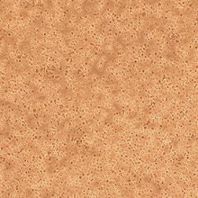 Human Mononuclear Cells – Periphery Blood (HMNC-PB) Human Mononuclear Cells – Periphery Blood