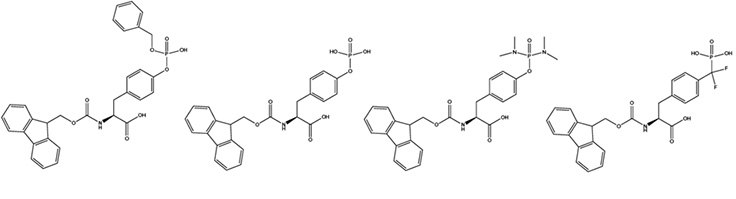 Step-wise synthesis of phosphotyrosine containing peptides