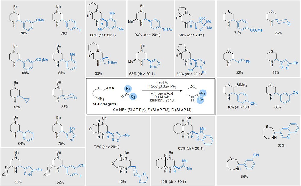 SNAP Reagents