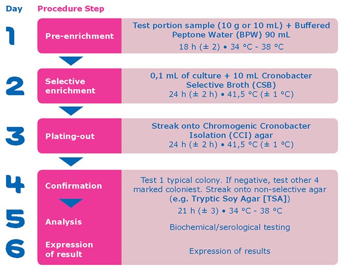 Procedure steps for Cronobacter spp. detection according to the new EN ISO 22964:2017 standard