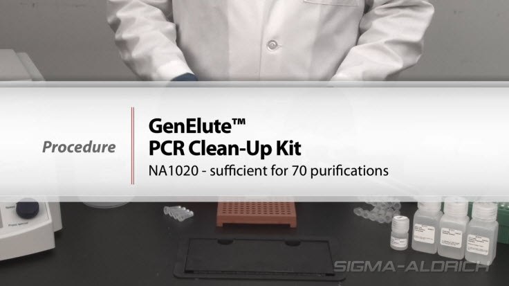 GenElute™ PCR Clean-Up Procedure