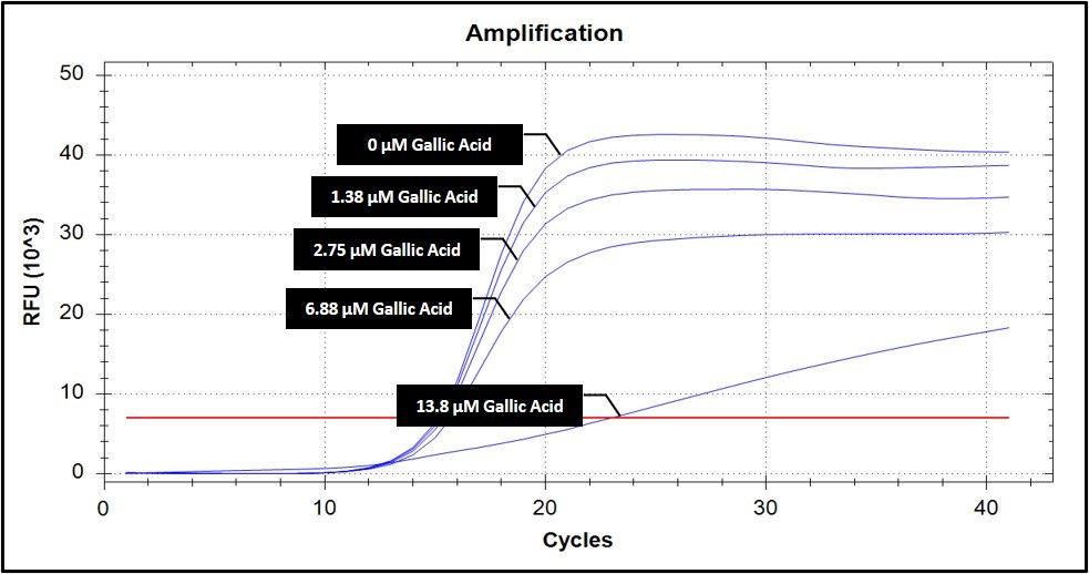 PCR inhibitor gallic acid spiking assay in qPCR Spiking assay of gallic acid in qPCR.