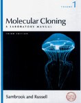 Plasmid DNA Preparation Plasmid DNA Preparation