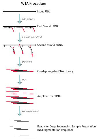 seqr-wta-procedure