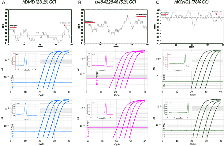 Effect of Different Cycling Protocols Effect of Different Cycling Protocols
