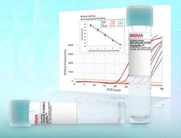KiCqStart® SYBR® Green qPCR ReadyMix™ KiCqStart® SYBR® Green qPCR ReadyMix™