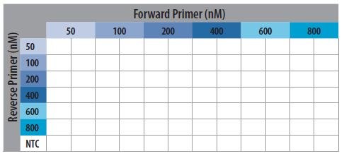 Schematic Representation of the Primer Optimization Plate Layout.