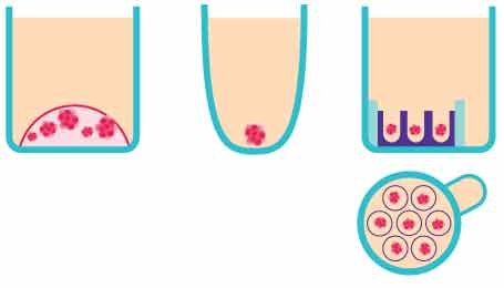 : Schematic of three in vitro 3D organoid screening methods : Schematic of three in vitro 3D organoid screening methods