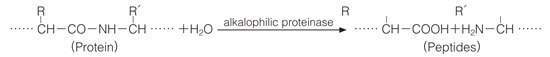 Alkalophic proteinase