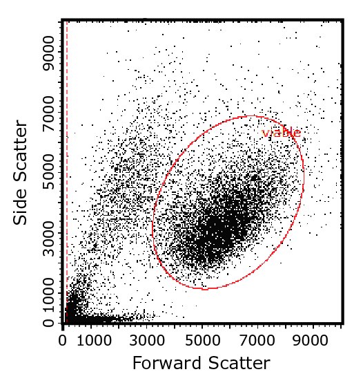 The two-parameter flow cytometry plot shows how light-scattering characteristics of cells are used to identify cell populations of interest, here by their size (forward scatter) and intracellular complexity (side scatter). Gates, or regions defined and applied by the user, are then used to identify subpopulations of interest (here, the red oval identifies the likely viable population) for focused analysis. Flow cytometry plot showing how light-scattering characteristics of cells are used to identify cell populations of interest, here by their size and intracellular complexity.
