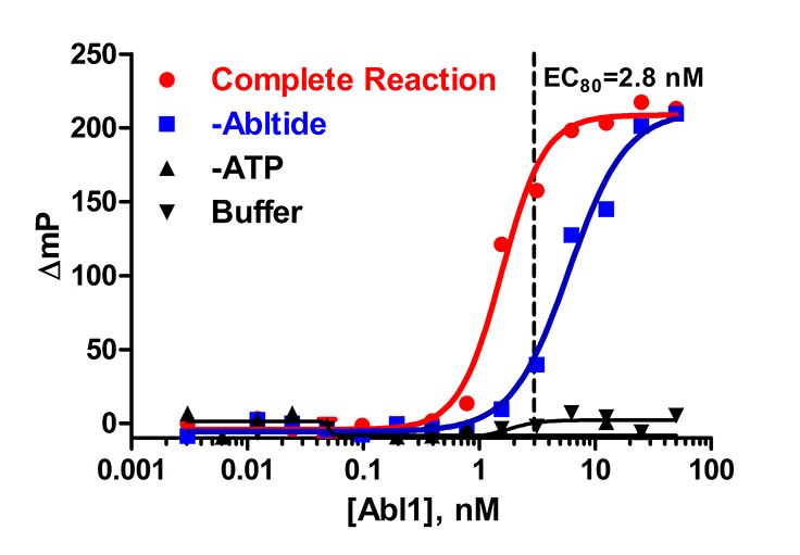 Abl1 enzyme titration Graph Figure 1. Abl1 enzyme titration in the presence of 5 μM ATP and 10 μM Abltide. A concentration (EC80) of 2.8 nM was determined to be optimal from this titration. The reaction was run in a kinase buffer (50 mM Tris (pH 7.5), 5 mM MgCl2, 0.01% Brij).