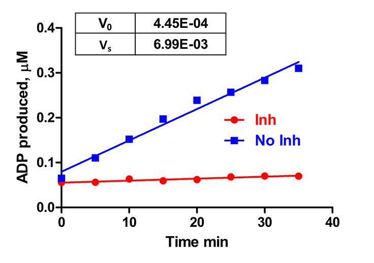 Enzyme Velocity V0 Graph Enzyme velocity V0