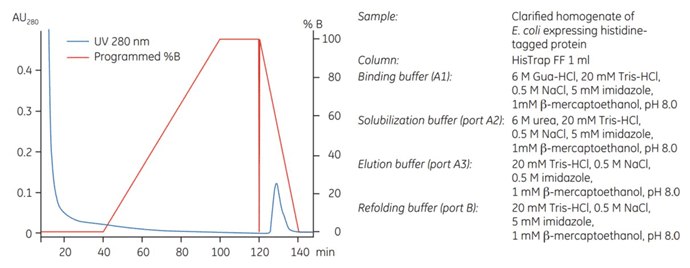 On-column refolding of a histidine-tagged protein. On-column refolding of a histidine-tagged protein.