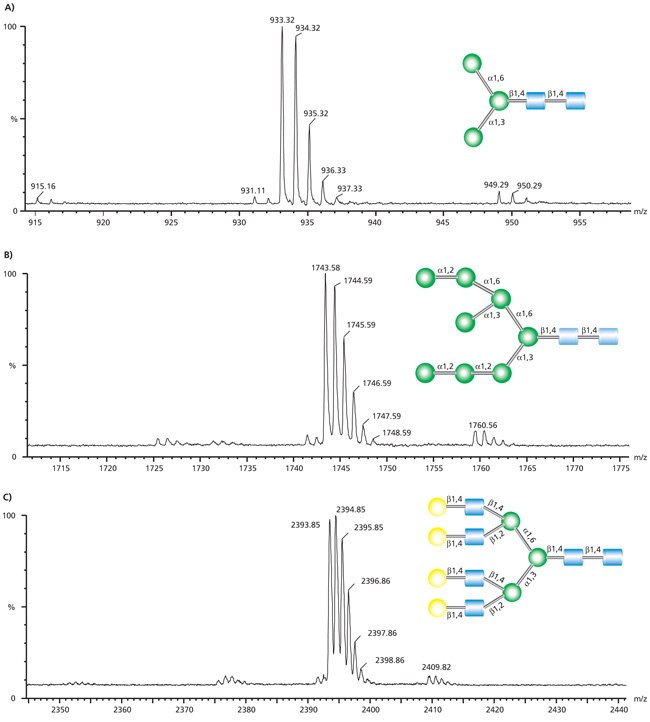 MALDI-TOF MS traces