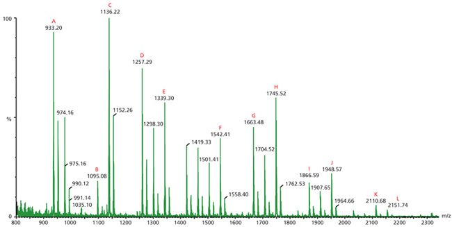 Positive ion MALDI MS of the neutral N-linked glycans