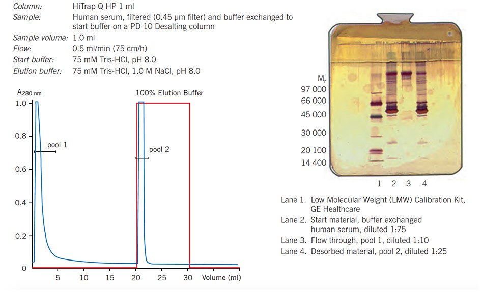 Separation of IgG from human serum proteins on HiTrap Q HP, 1 ml, using one step elution