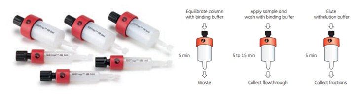 gstrap-hp-gstrap-4b-gstrap-44 GSTrap HP, GSTrap 4B, and GSTrap FF