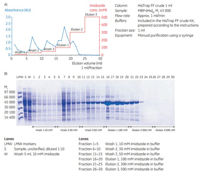 HisTrap FF crude kit sds Purification of MBP-(His)6 using HisTrap™ FF crude Kit.